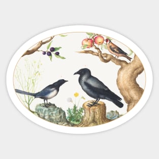 Magpie, Crow, and Goldfinch (1575–1580) Sticker